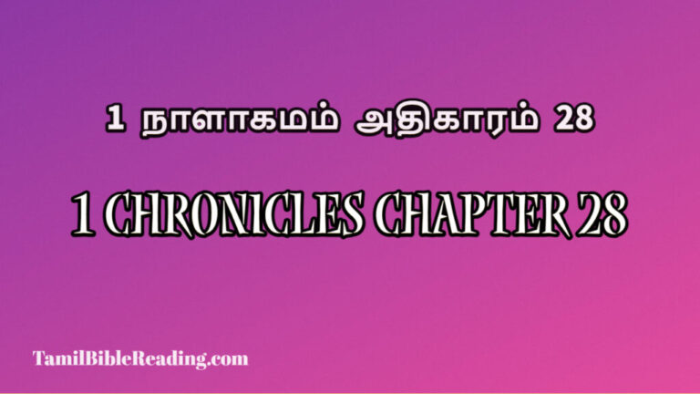 1 Chronicles Chapter 28, online bible reading,