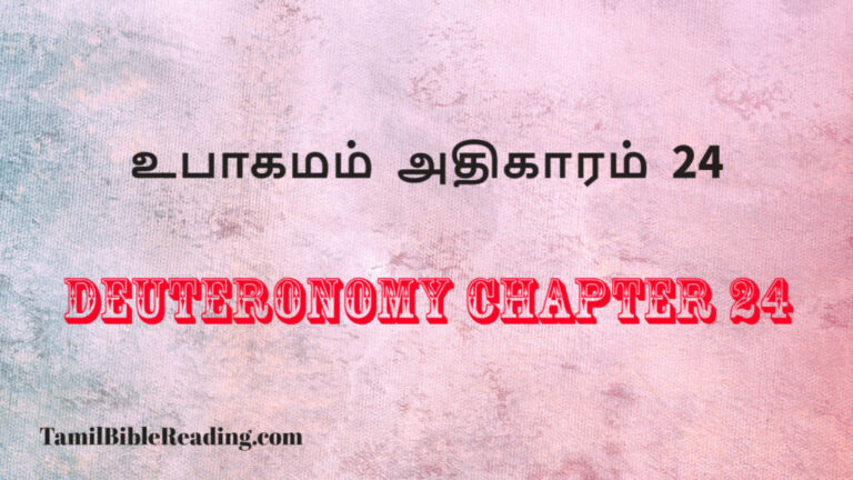 Deuteronomy Chapter 24, உபாகமம் அதிகாரம் 24, daily bible verse christianity,