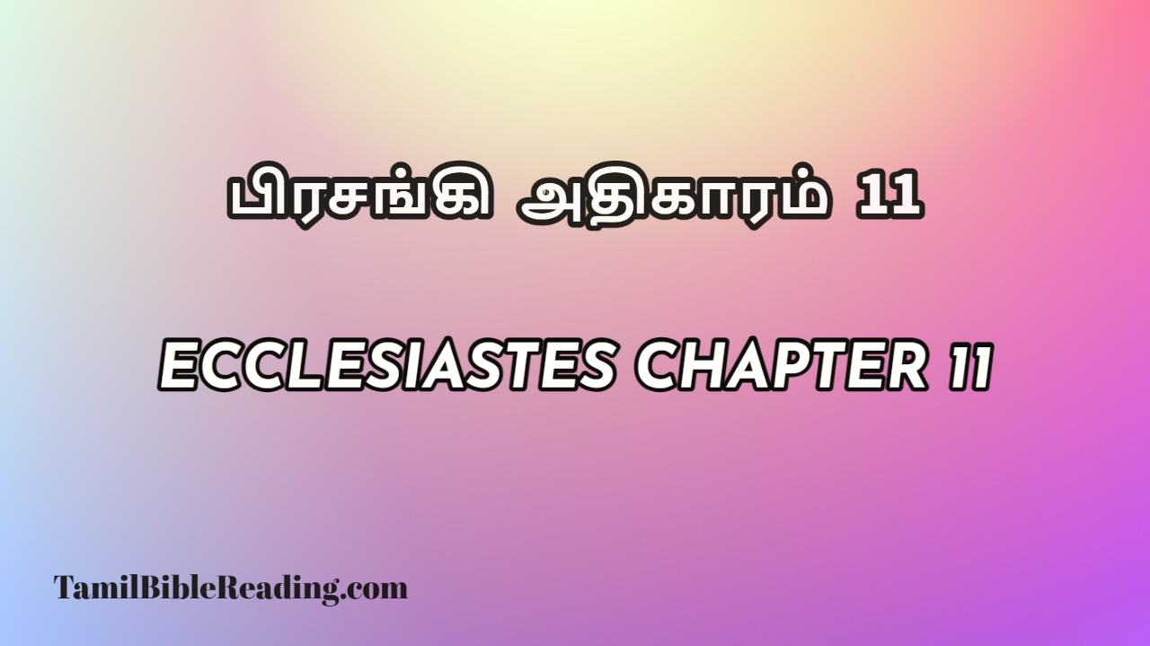 Ecclesiastes Chapter 11, பிரசங்கி அதிகாரம் 11, daily bible reading,