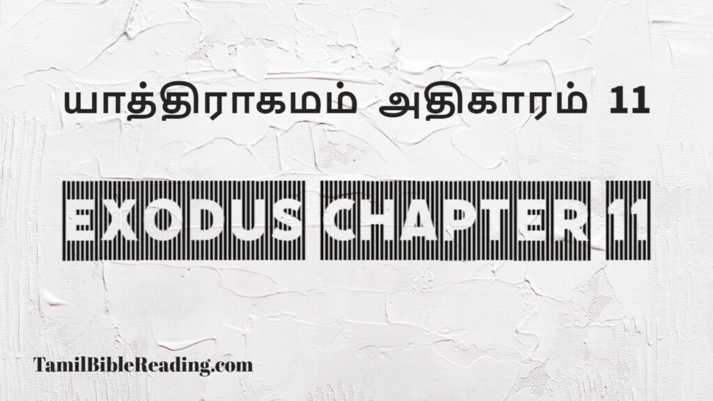 Exodus Chapter 11, யாத்திராகமம் அதிகாரம் 11, good scripture for today,