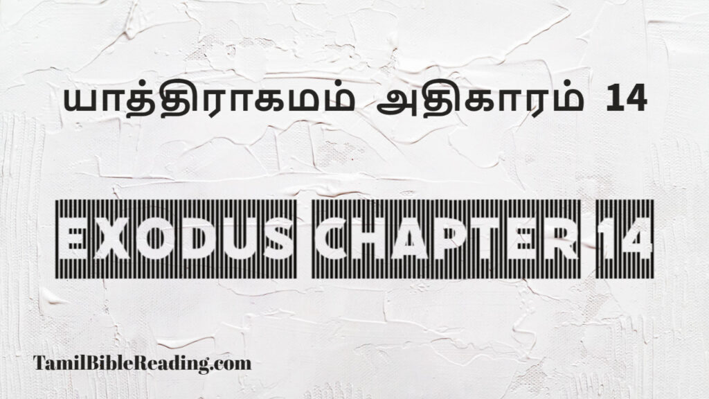 Exodus Chapter 14, யாத்திராகமம் அதிகாரம் 14, good scripture for today,