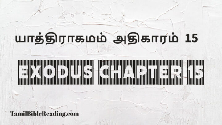 15 Exodus Chapter 15 Online Bible Reading 15-exodus-chapter-15-online-bible-reading