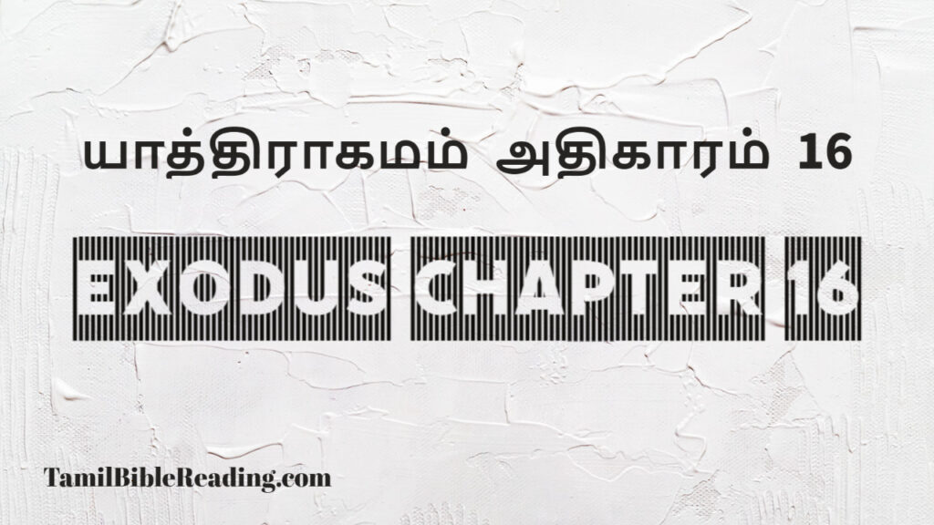 Exodus Chapter 16, யாத்திராகமம் அதிகாரம் 16, good scripture for today,