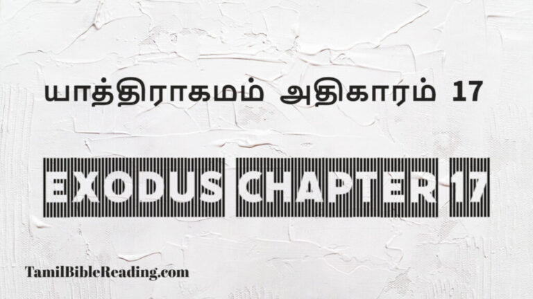 Exodus Chapter 17, யாத்திராகமம் அதிகாரம் 17, good scripture for today,