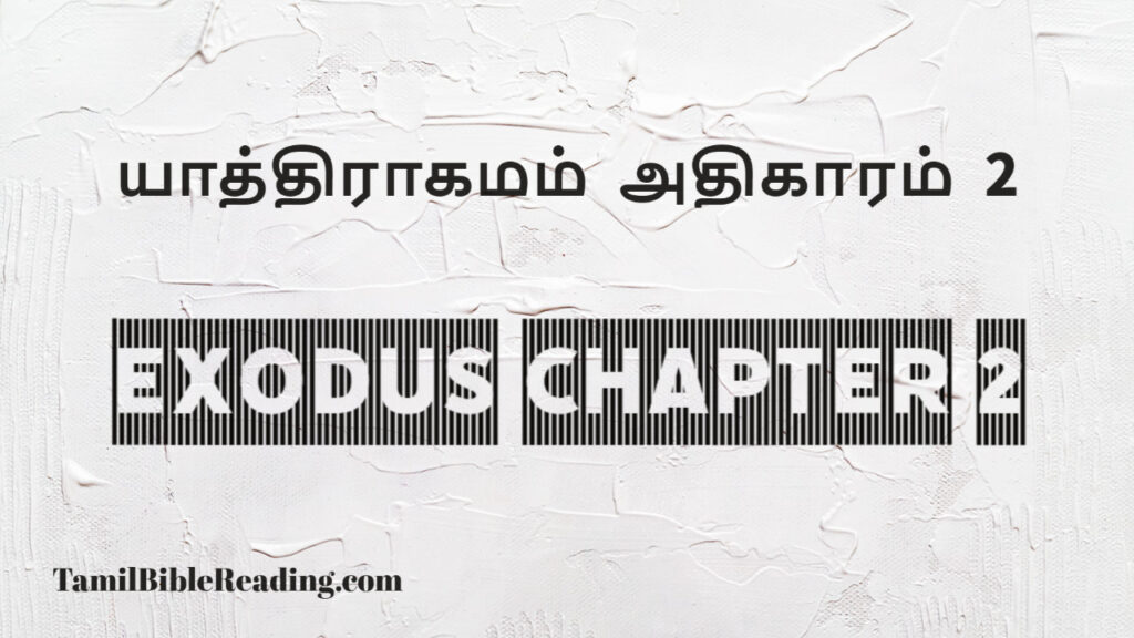 Exodus Chapter 2, யாத்திராகமம் அதிகாரம் 2, good scripture for today,