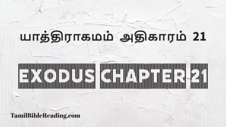 Exodus Chapter 21, யாத்திராகமம் அதிகாரம் 21, good scripture for today,