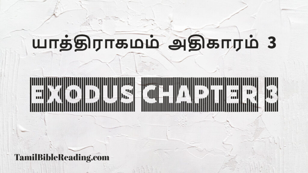 Exodus Chapter 3, யாத்திராகமம் அதிகாரம் 3, good scripture for today,