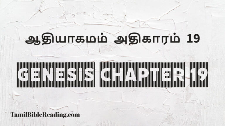 Genesis Chapter 19, ஆதியாகமம் அதிகாரம் 19, tamil bible, easy to read bible online free,