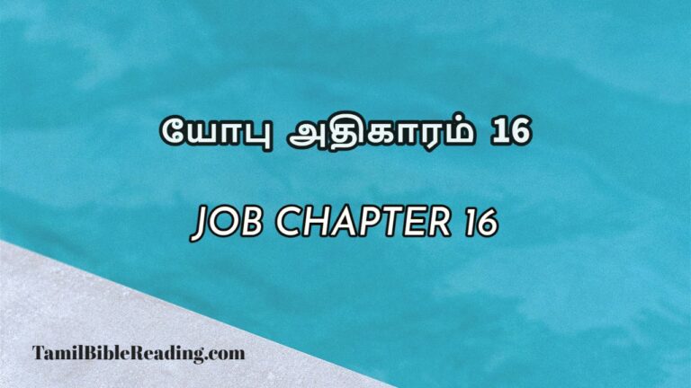 Job Chapter 16, யோபு அதிகாரம் 16, bible meditation for today,