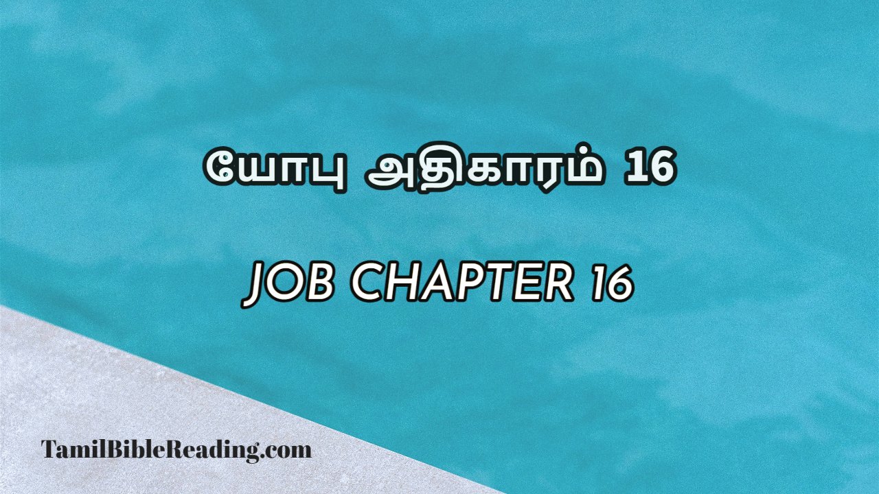 Job Chapter 16, யோபு அதிகாரம் 16, bible meditation for today,