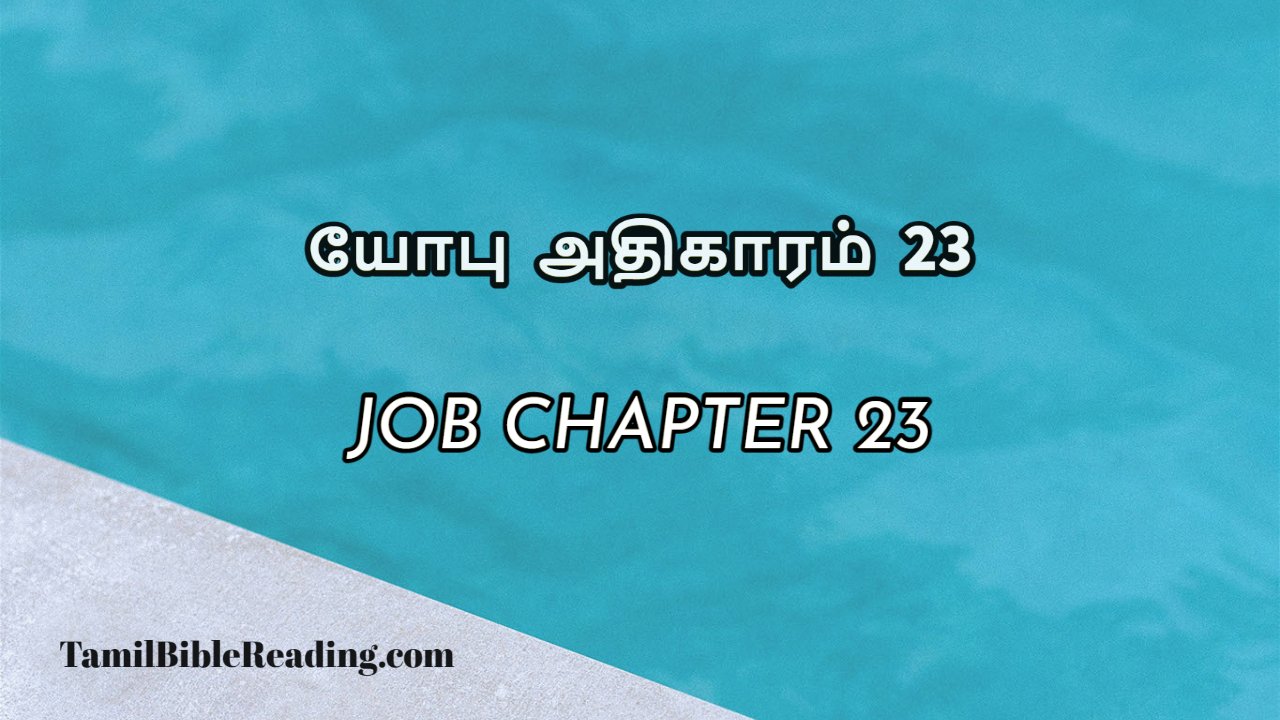 Job Chapter 23, யோபு அதிகாரம் 23, bible meditation for today,