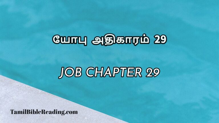 Job Chapter 29, யோபு அதிகாரம் 29, bible meditation for today,