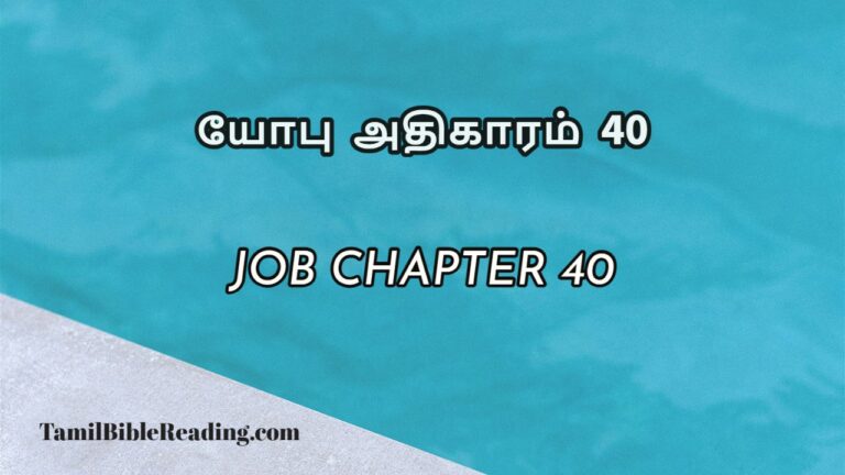 Job Chapter 40, யோபு அதிகாரம் 40, bible meditation for today,