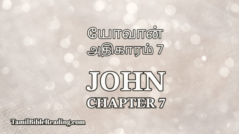 John Chapter 7, யோவான் அதிகாரம் 7, bible reading online,