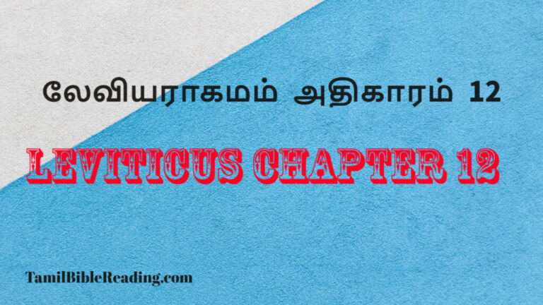 Leviticus Chapter 12, லேவியராகமம் அதிகாரம் 12, daily bible word for today,