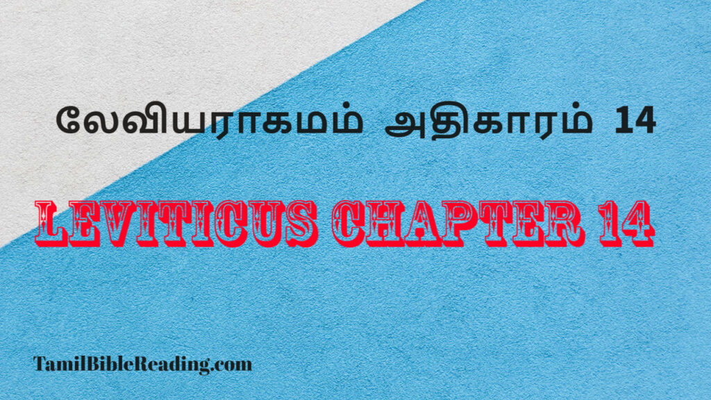 Leviticus Chapter 14, லேவியராகமம் அதிகாரம் 14, daily bible word for today,