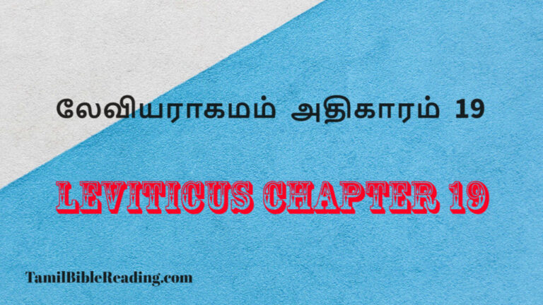 Leviticus Chapter 19, லேவியராகமம் அதிகாரம் 19, daily bible word for today,