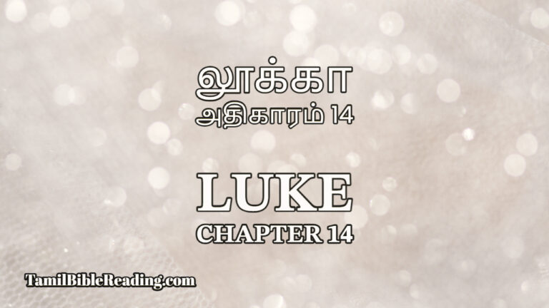 Luke Chapter 14, லூக்கா அதிகாரம் 14, tamil bible reading,