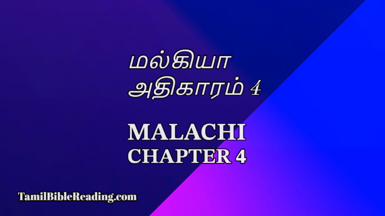Malachi Chapter 4, மல்கியா அதிகாரம் 4, tamil bible,
