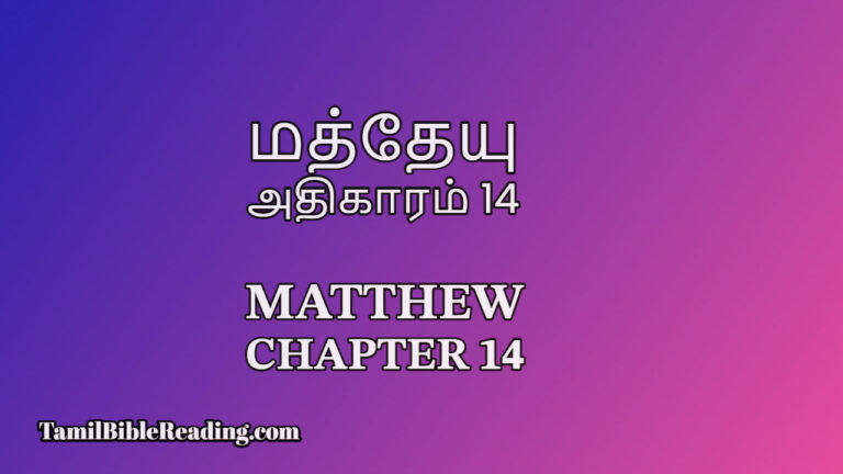 Matthew Chapter 14, மத்தேயு அதிகாரம் 14, Tamil Bible Reading,