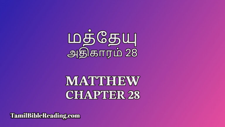Matthew Chapter 28, மத்தேயு அதிகாரம் 28, Tamil Bible Reading,
