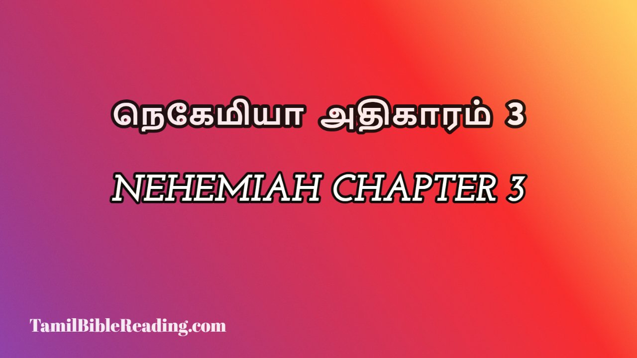 Nehemiah Chapter 3, நெகேமியா அதிகாரம் 3, my daily bible reading,