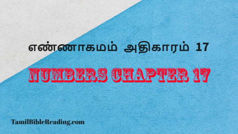 Numbers Chapter 17, எண்ணாகமம் அதிகாரம் 17, free daily bible,