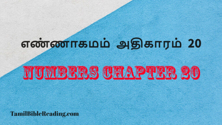 Numbers Chapter 20, எண்ணாகமம் அதிகாரம் 20, free daily bible,