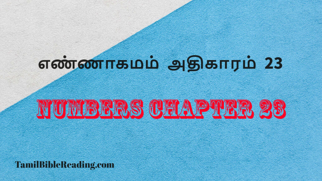 Numbers Chapter 23, எண்ணாகமம் அதிகாரம் 23, daily bible reading,