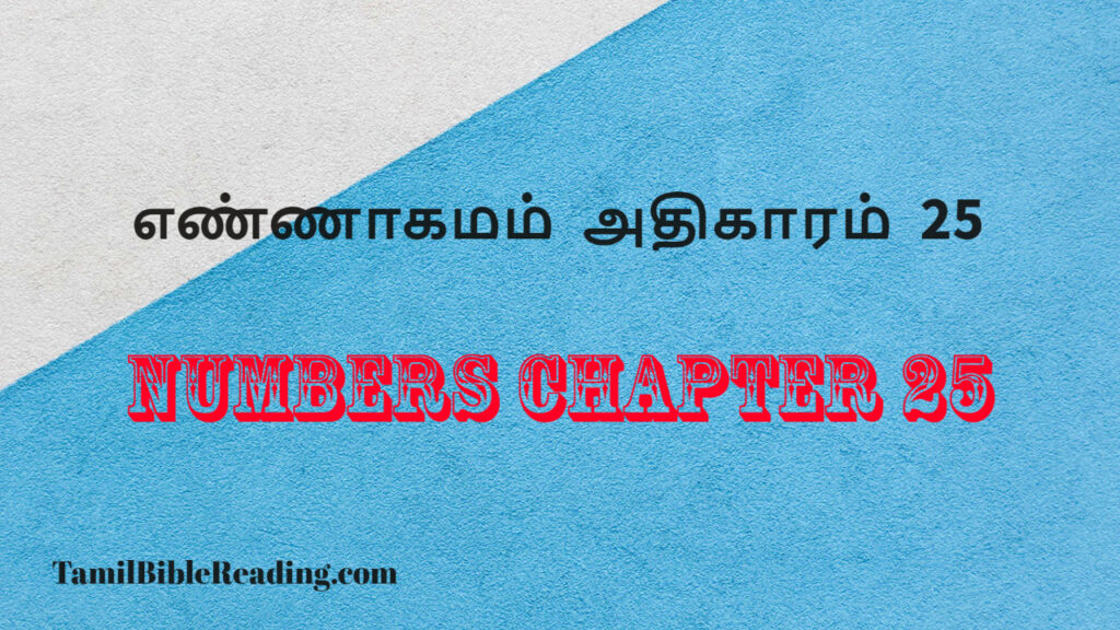 Numbers Chapter 25, எண்ணாகமம் அதிகாரம் 25, daily bible reading,