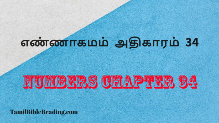 Numbers Chapter 34, எண்ணாகமம் அதிகாரம் 34, daily bible reading,