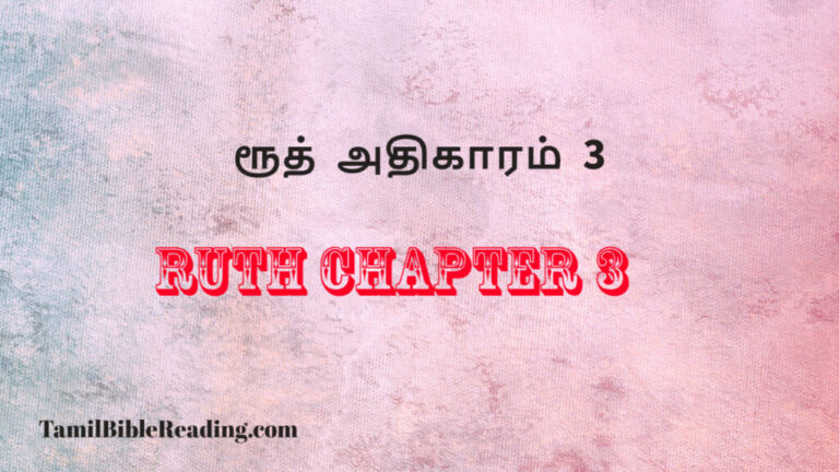 Ruth Chapter 3, ரூத் அதிகாரம் 3, daily verse and prayer,