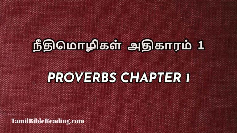 Proverbs Chapter 1, நீதிமொழிகள் அதிகாரம் 1, Tamil bible reading,