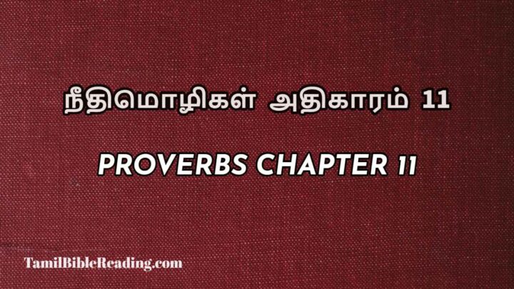 11 Proverbs Chapter 11 Online Bible Reading 11-proverbs-chapter-11-online-bible-reading