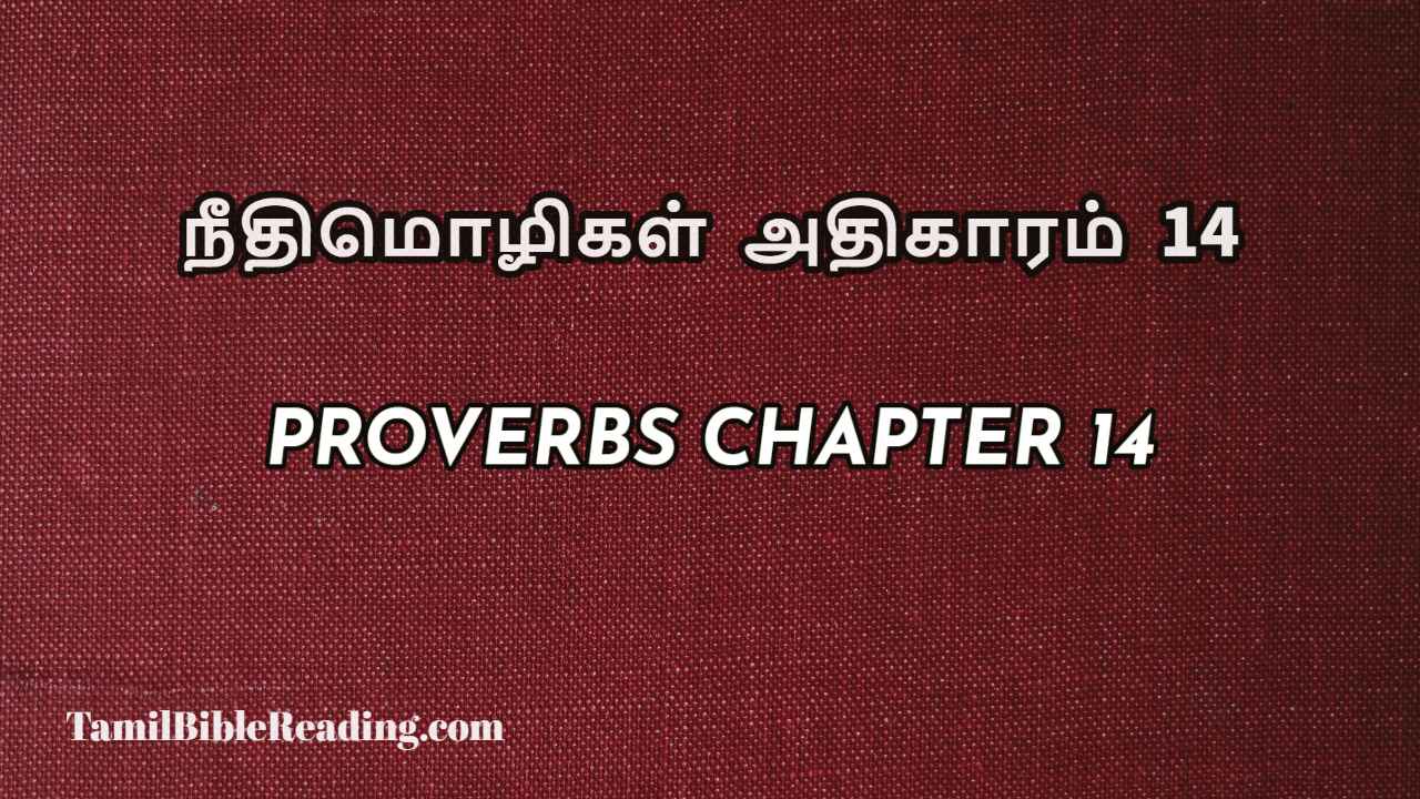 Proverbs Chapter 14, நீதிமொழிகள் அதிகாரம் 14, Tamil bible reading,