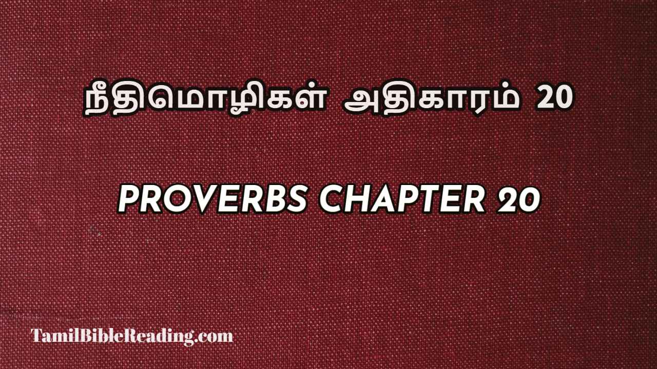 Proverbs Chapter 20, நீதிமொழிகள் அதிகாரம் 20, Tamil bible reading,