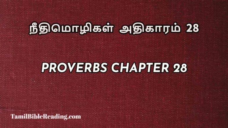 Proverbs Chapter 28, நீதிமொழிகள் அதிகாரம் 28, Tamil bible reading,