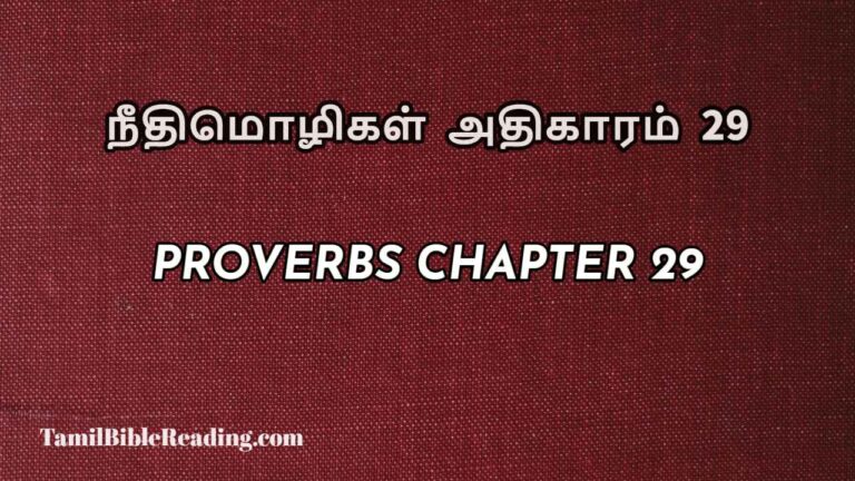 Proverbs Chapter 29, நீதிமொழிகள் அதிகாரம் 29, Tamil bible reading,