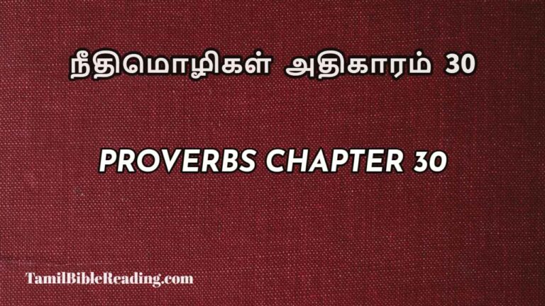 Proverbs Chapter 30, நீதிமொழிகள் அதிகாரம் 30, Tamil bible reading,