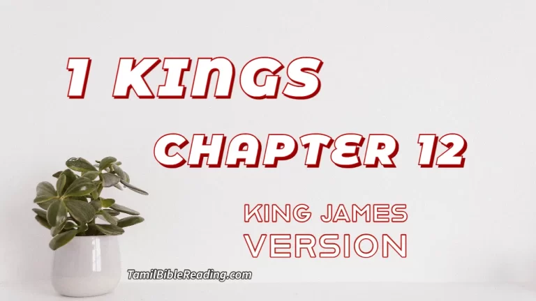 1 Kings Chapter 12, English Bible, KJV Bible, online English Bible, tbr site,