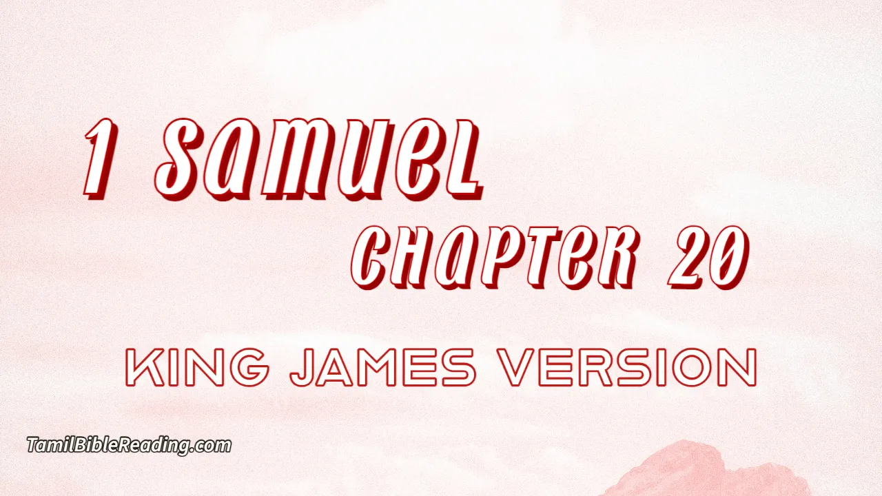 1 Samuel Chapter 20, English Bible, KJV Bible, online English Bible, tbr site,