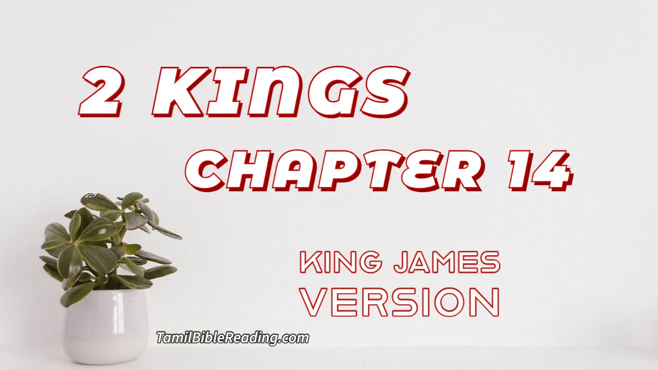 2 Kings Chapter 14, English Bible, KJV Bible, online English Bible, tbr site,