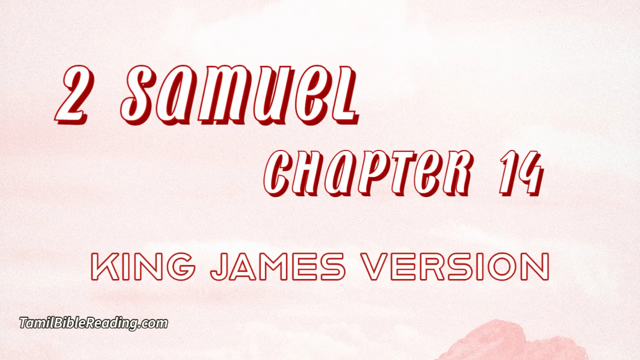 2 Samuel Chapter 14, English Bible, KJV Bible, online English Bible, tbr site,