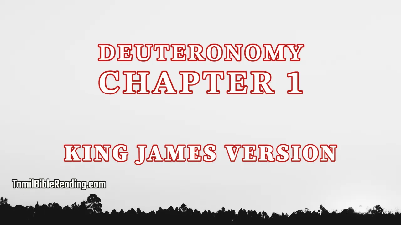 Deuteronomy Chapter 1, English Bible, KJV Bible, online English Bible, tbr site,