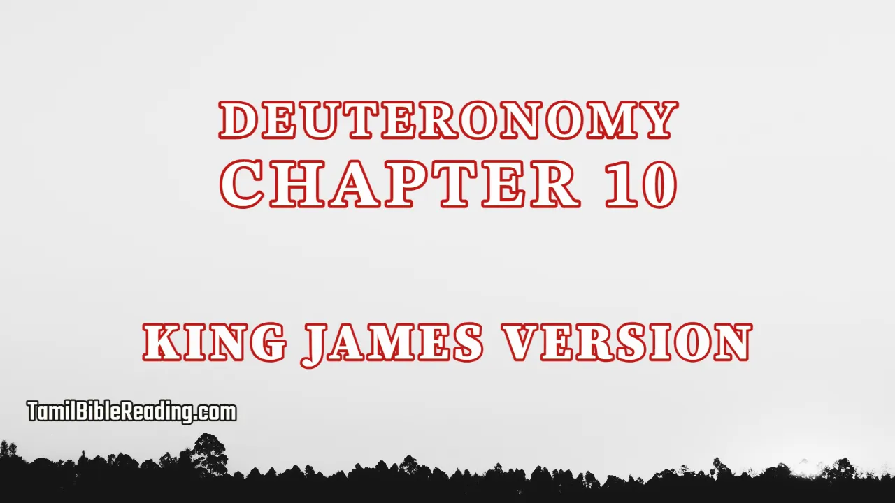 Deuteronomy Chapter 10, English Bible, KJV Bible, online English Bible, tbr site,