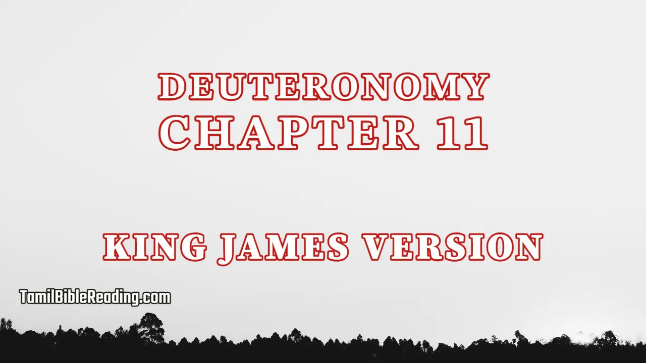 Deuteronomy Chapter 11, English Bible, KJV Bible, online English Bible, tbr site,