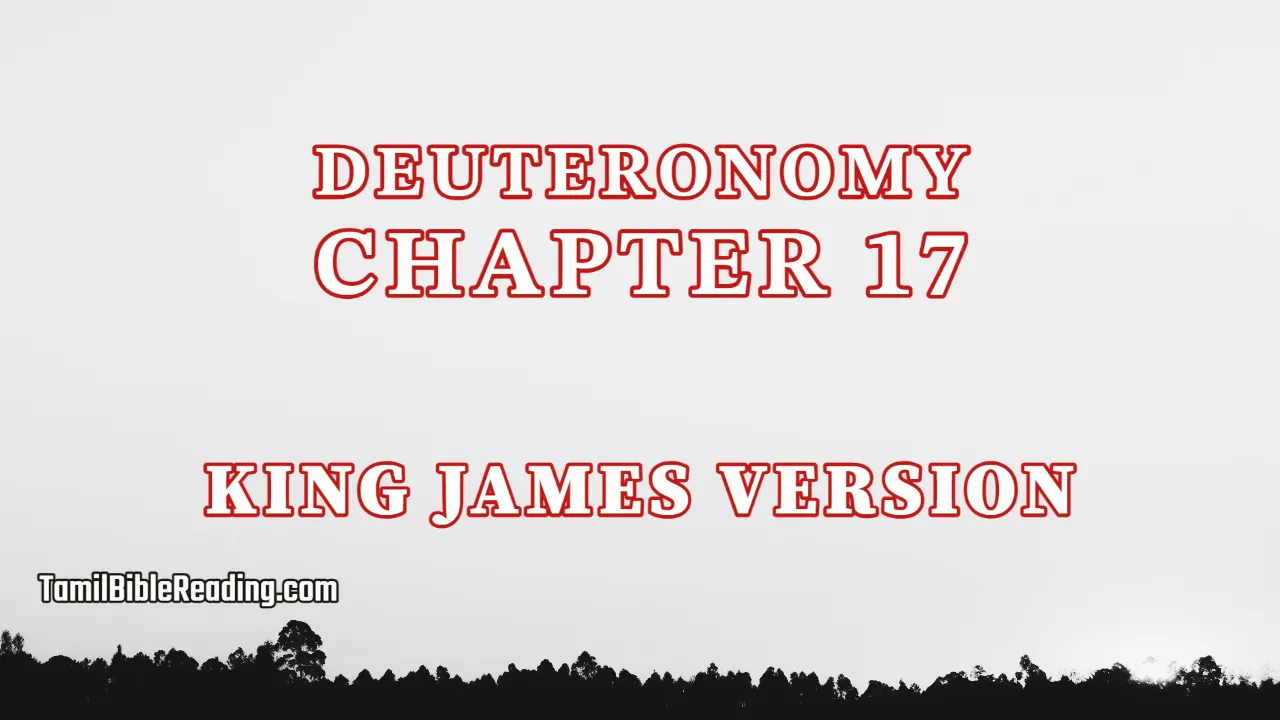 Deuteronomy Chapter 17, English Bible, KJV Bible, online English Bible, tbr site,