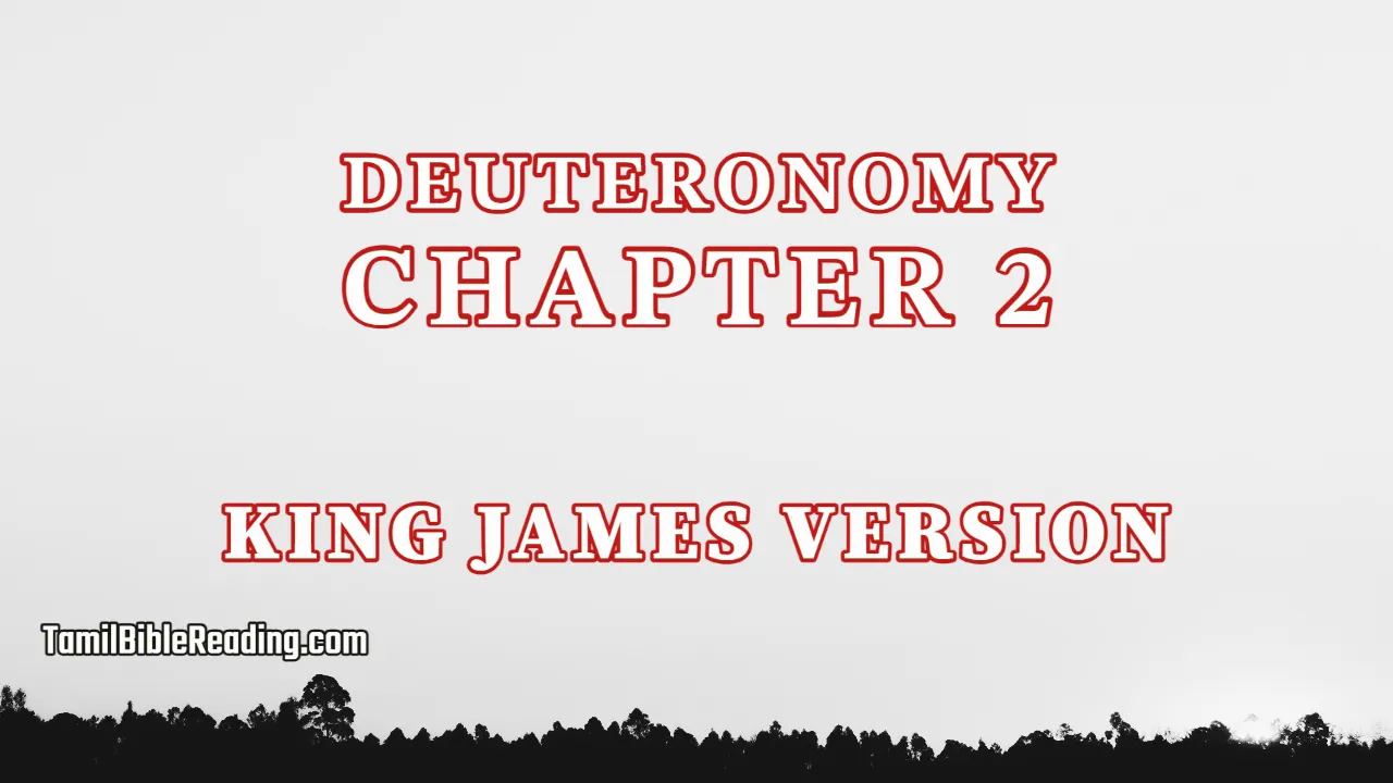 Deuteronomy Chapter 2, English Bible, KJV Bible, online English Bible, tbr site,