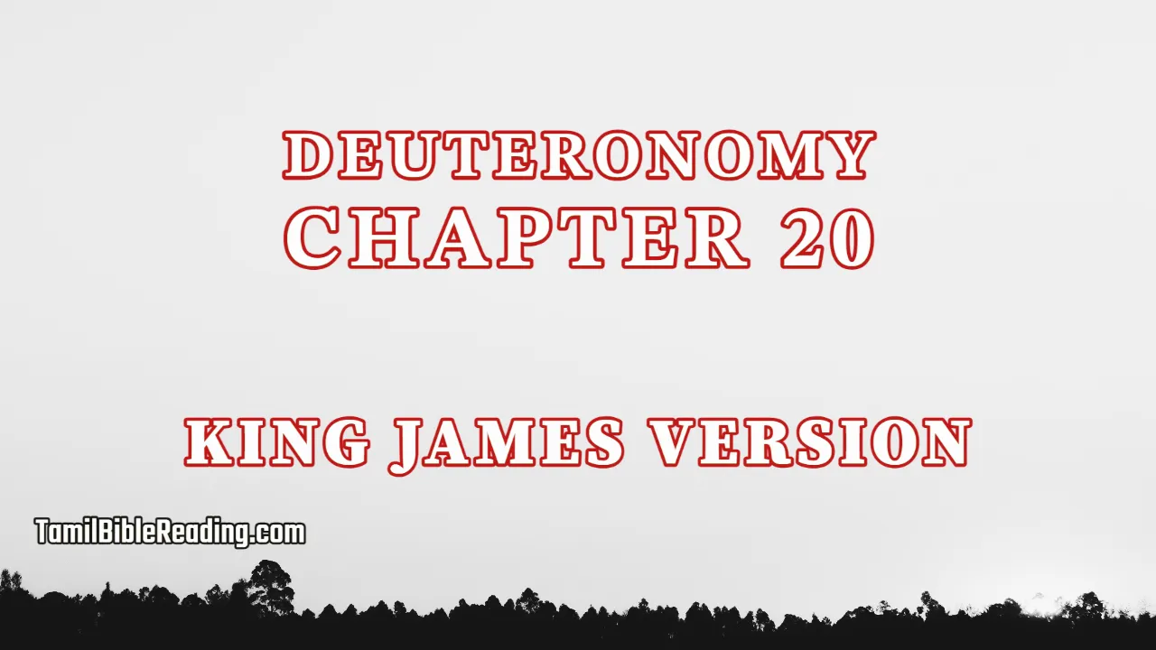 Deuteronomy Chapter 20, English Bible, KJV Bible, online English Bible, tbr site,