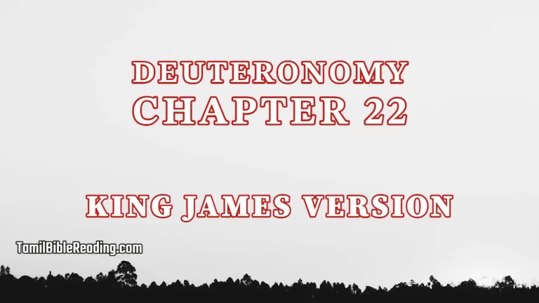 Deuteronomy Chapter 22, English Bible, KJV Bible, online English Bible, tbr site,